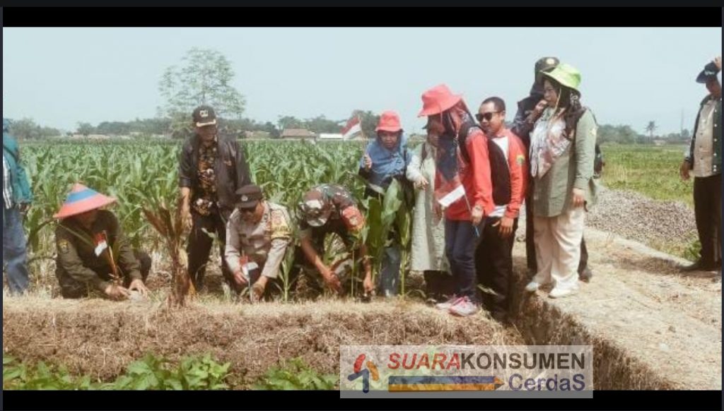 Foto : Gapoktan, Kades Ciherang, Kepala UPTD BPP bhabinmas dan bhabinsa sedang melaksanakan JUS