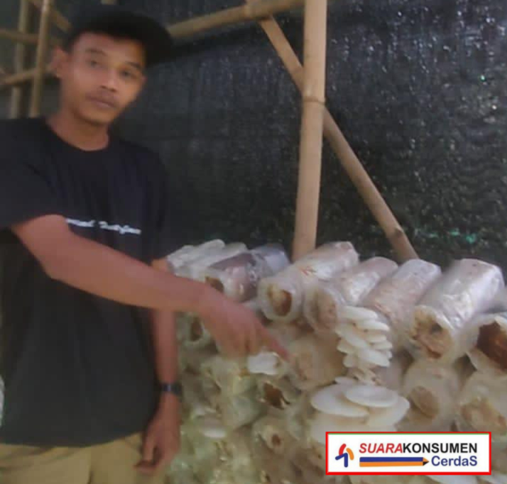 Dofoto_20250724_174647134