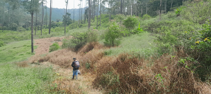 IMG-20250609-WA0117 IMG-20250609-WA0117